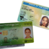 Australian ID card - Image 3