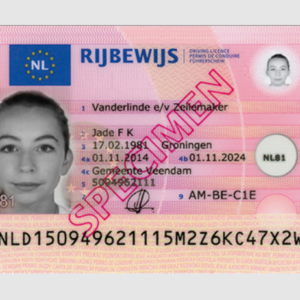 Netherlands driver’s licence