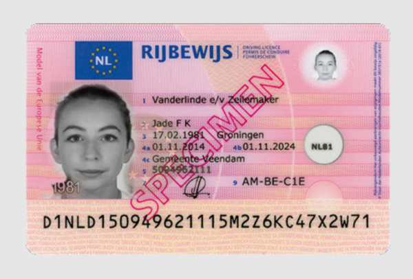 Netherlands driver’s licence