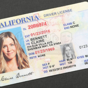 USA driver’s licence